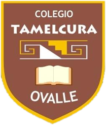 Logo Colegio Tamelcura